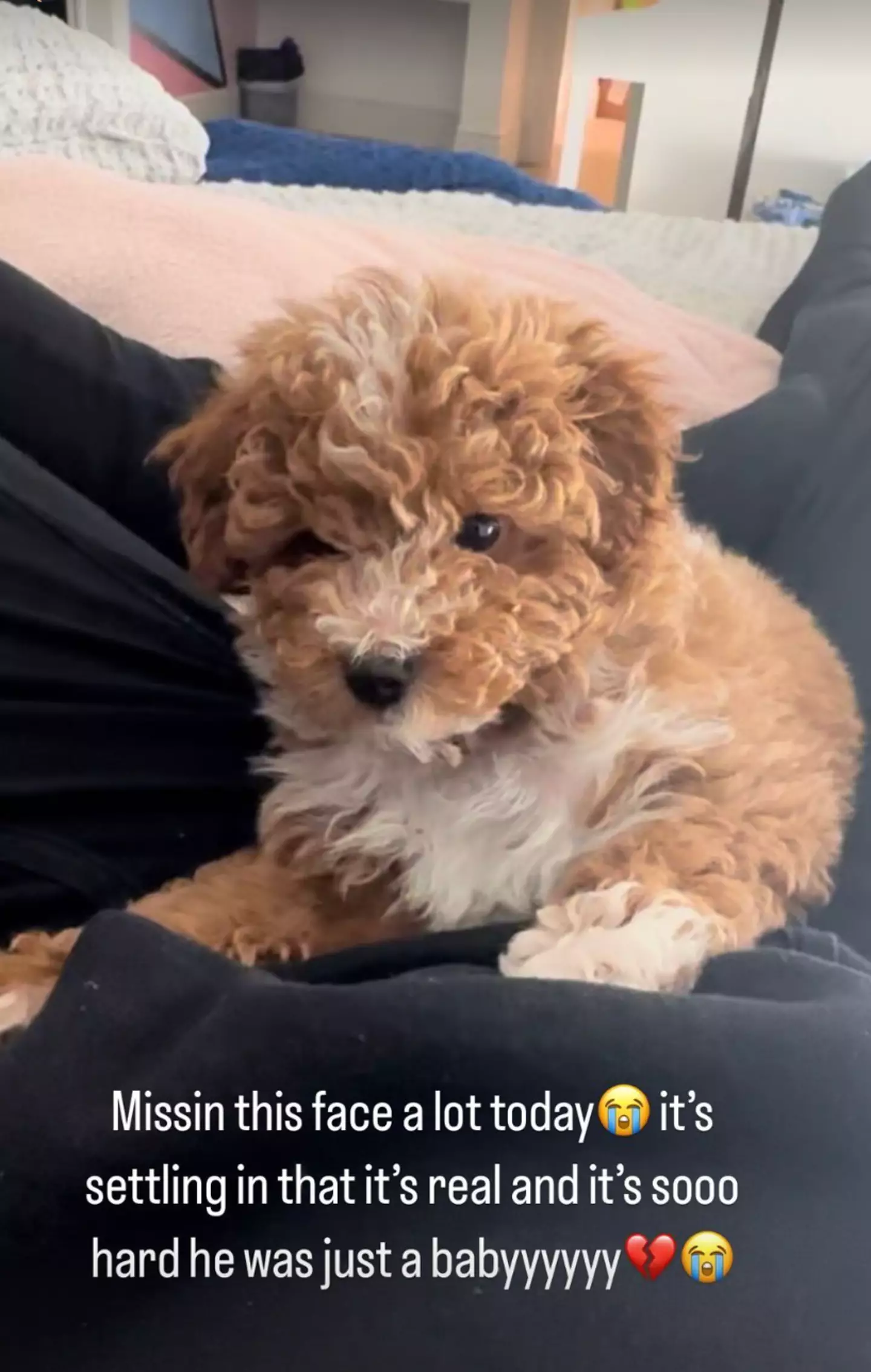 JoJo also mentioned little Tooie on Instagram.