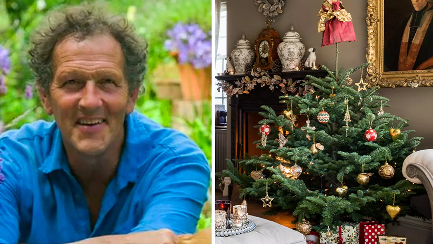 Expert says there’s one spot you should never put your Christmas tree