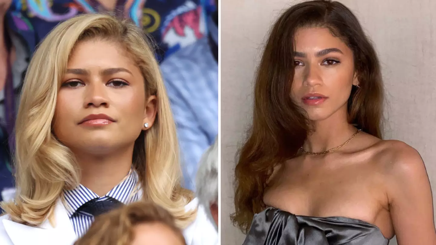 Zendaya had perfect response to troll who said they'd 'cry' if their parents looked like hers