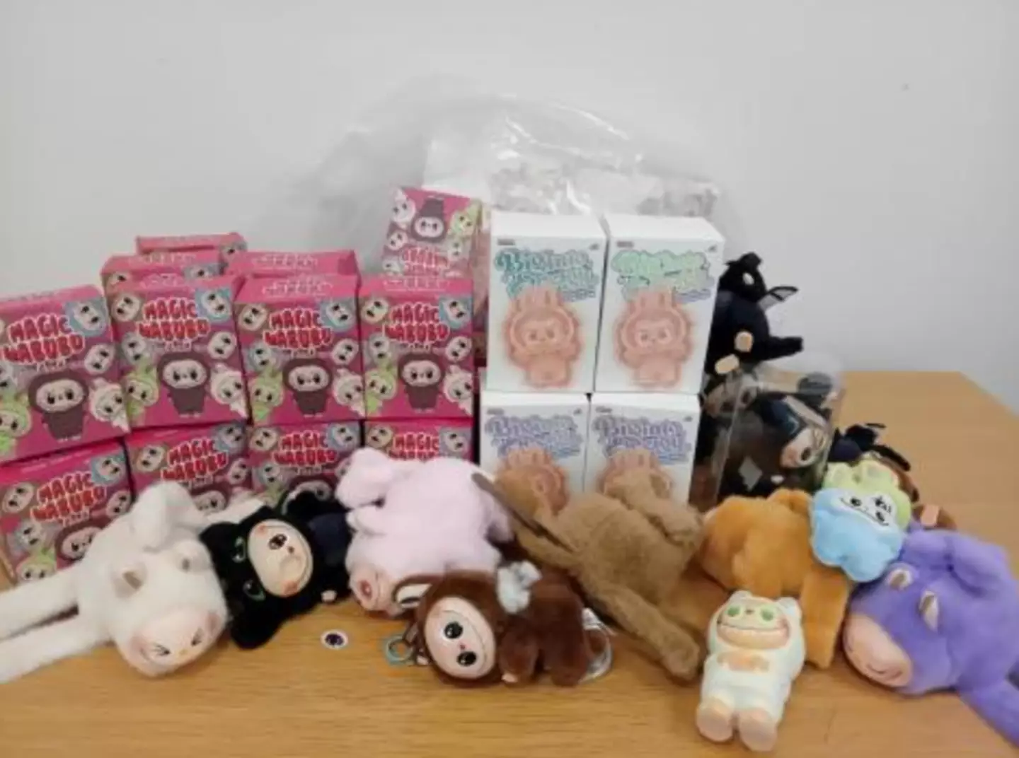 Hundreds of counterfeit Labubu toys were recovered from shops in Angus earlier this month (Angus Council)