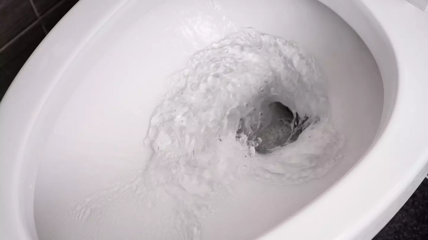 Seriously gross 'toilet plume' reveals why you should never flush with the seat up