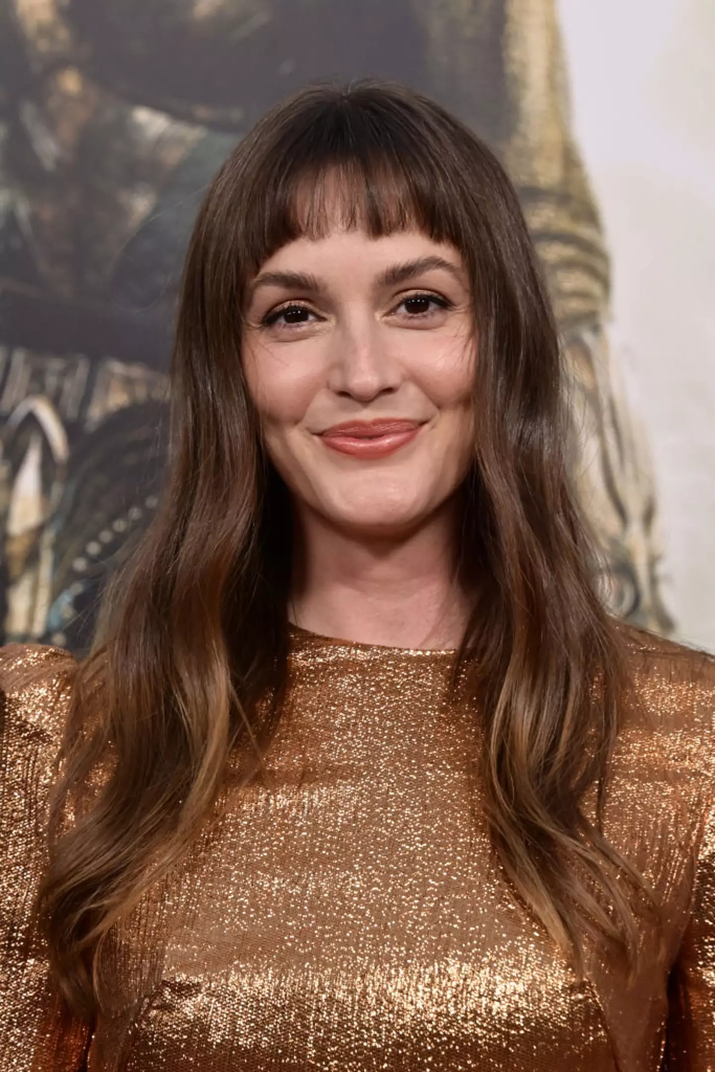 Meester starred in Gossip Girl with Lively (Araya Doheny/WireImage)