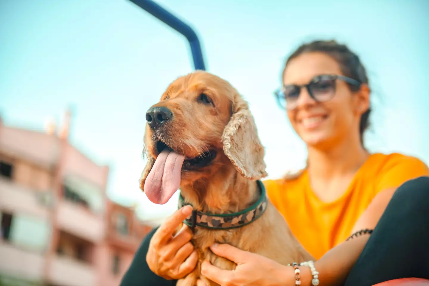 A neighbour has disclosed how they dealt with dog fouling. (Viktor Cvetkovic/Getty Images)