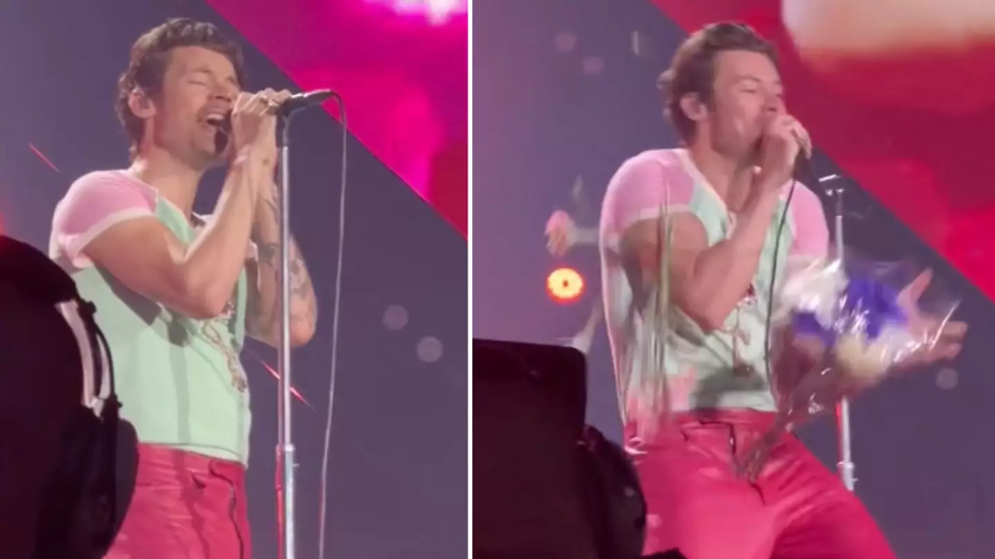Harry Styles ‘attacked’ by flowers on stage during concert