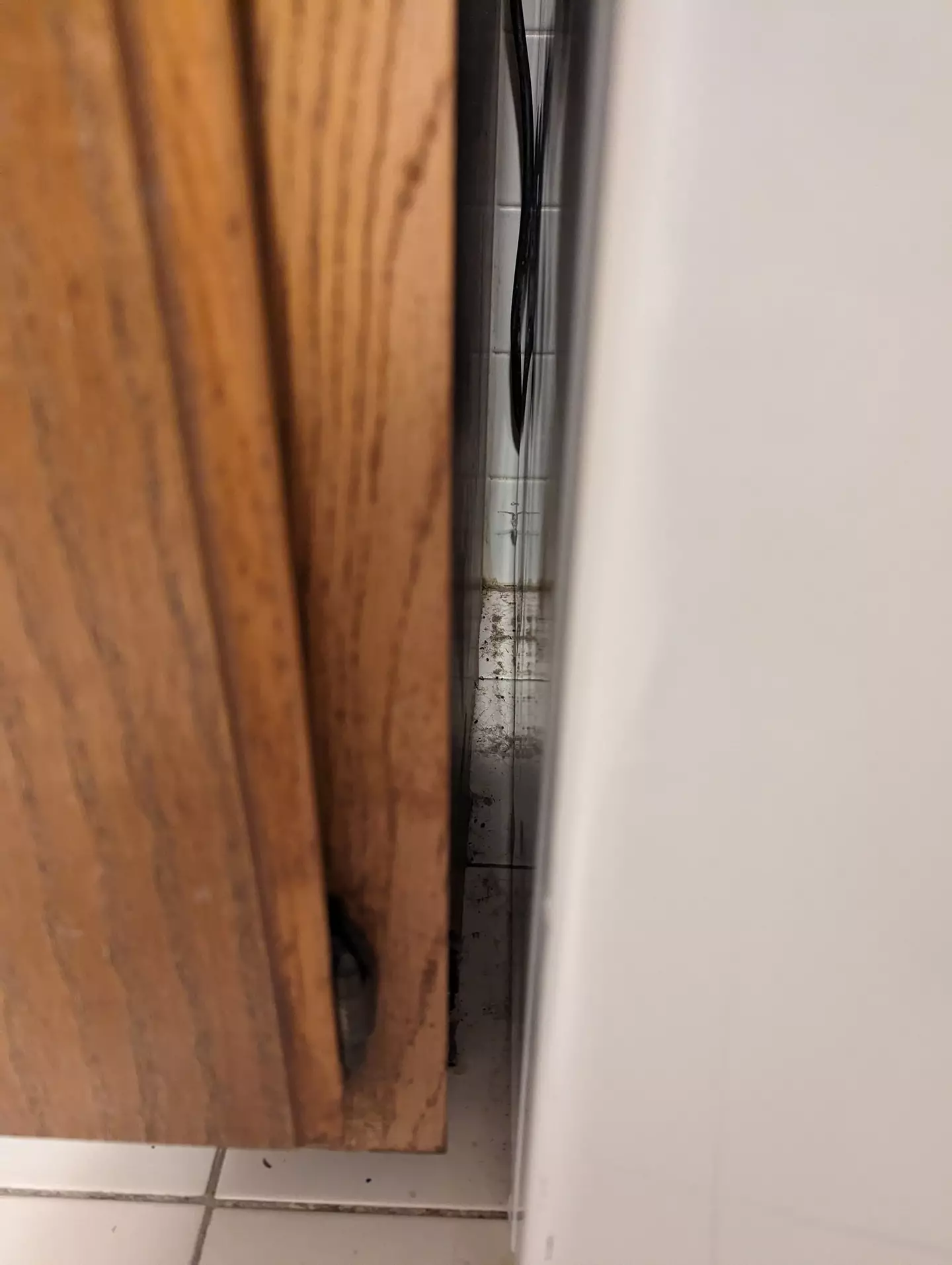 Airbnb initial refused Melanie a refund over a lack of 'evidence'.