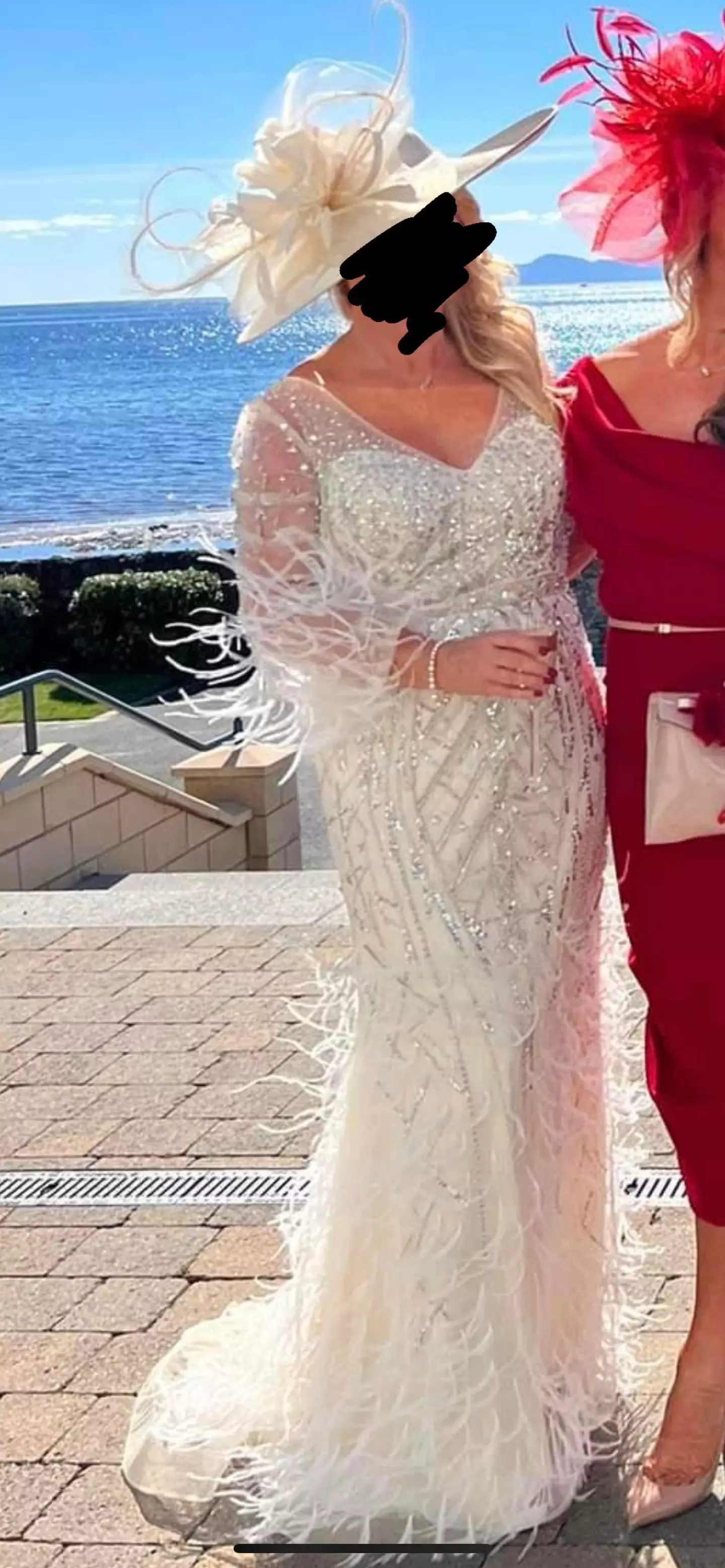 The mother-of-the-bride's divisive gown.