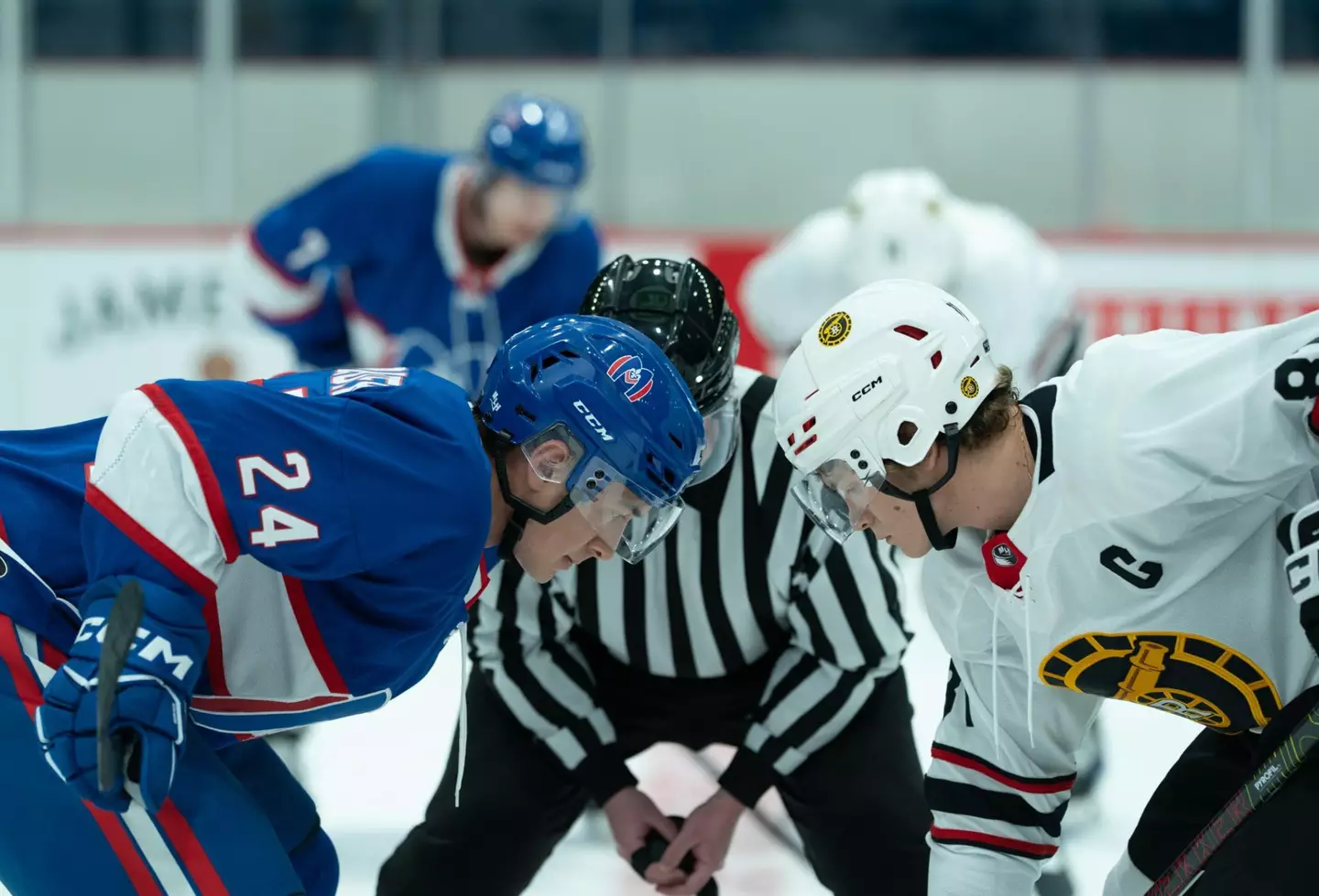 The series follows the classic 'enemies-to-lovers' trope (Accent Aigu Entertainment)