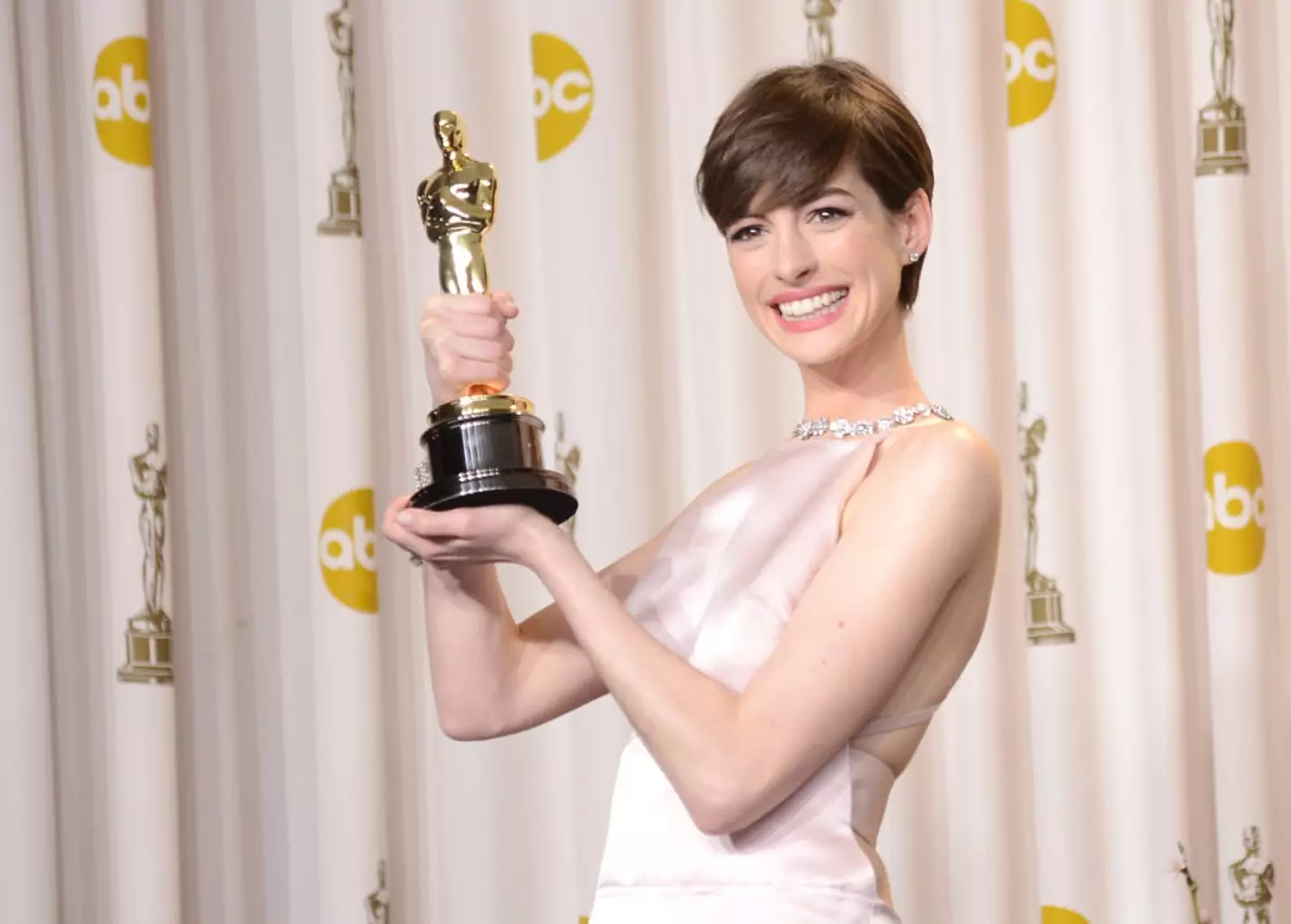 Hathaway won an Oscar for her Les Miserables performance (Jason Merritt/Getty Images)