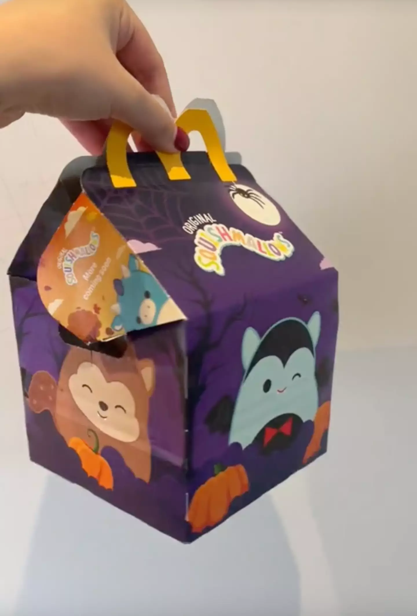 Parents can nab a McDonald's Happy Meal with a free Squishmallow toy for just a pound today (23 October).