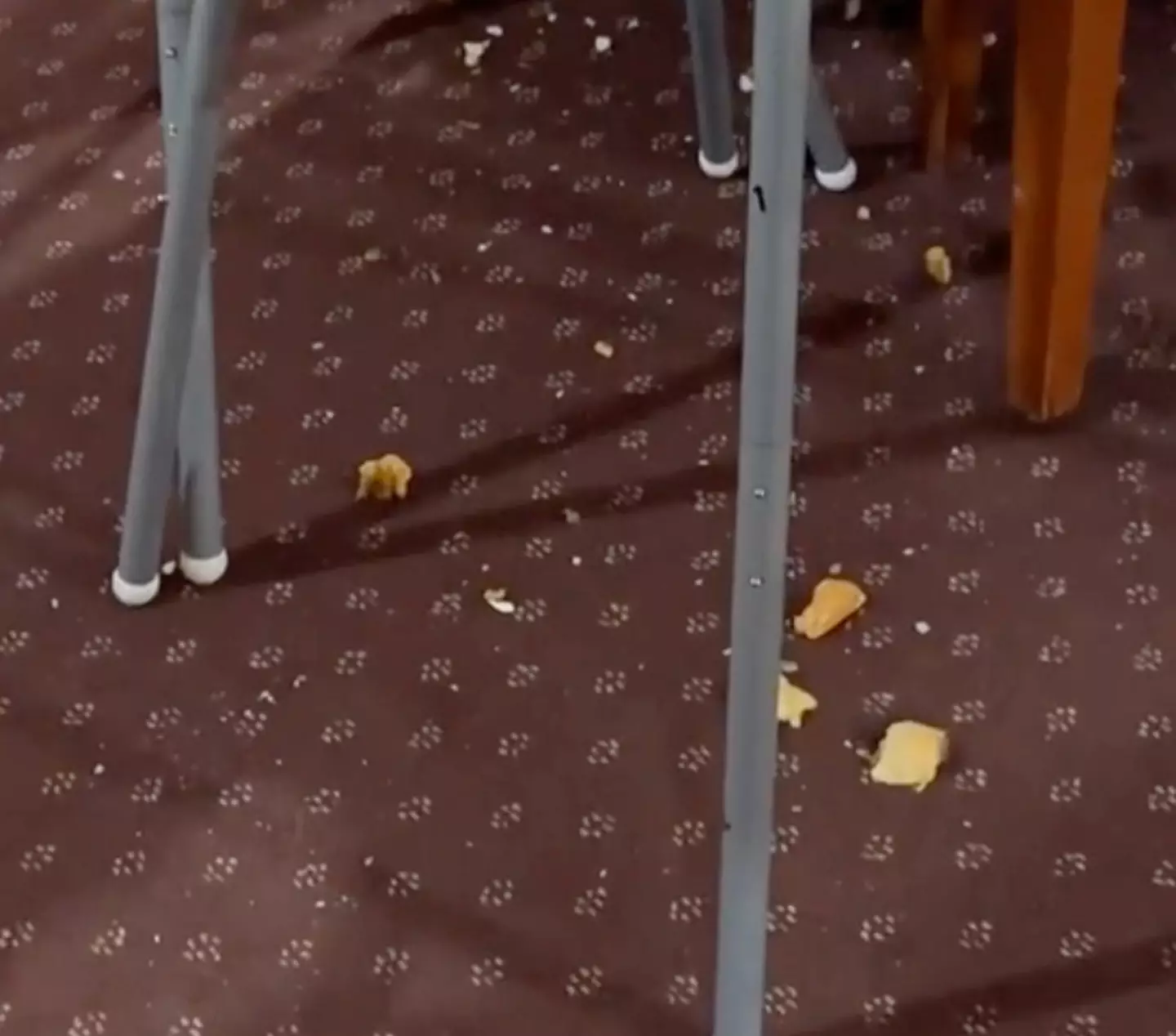 Chunks of food had been left scattered on the floor.