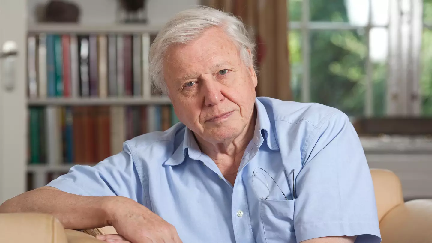 Sir David Attenborough To Appear On CBeebies' Hey Duggee