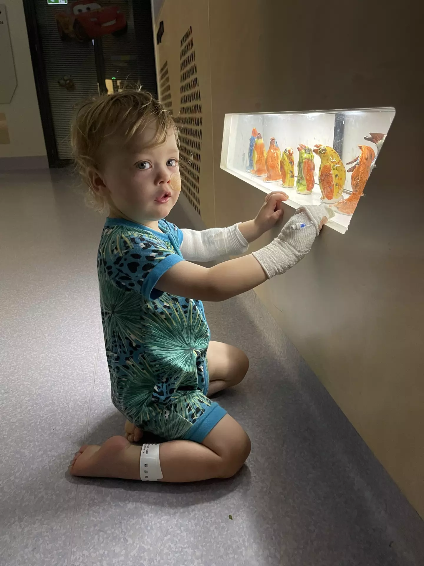 Thankfully, Declan has fully recovered and was able to go home.