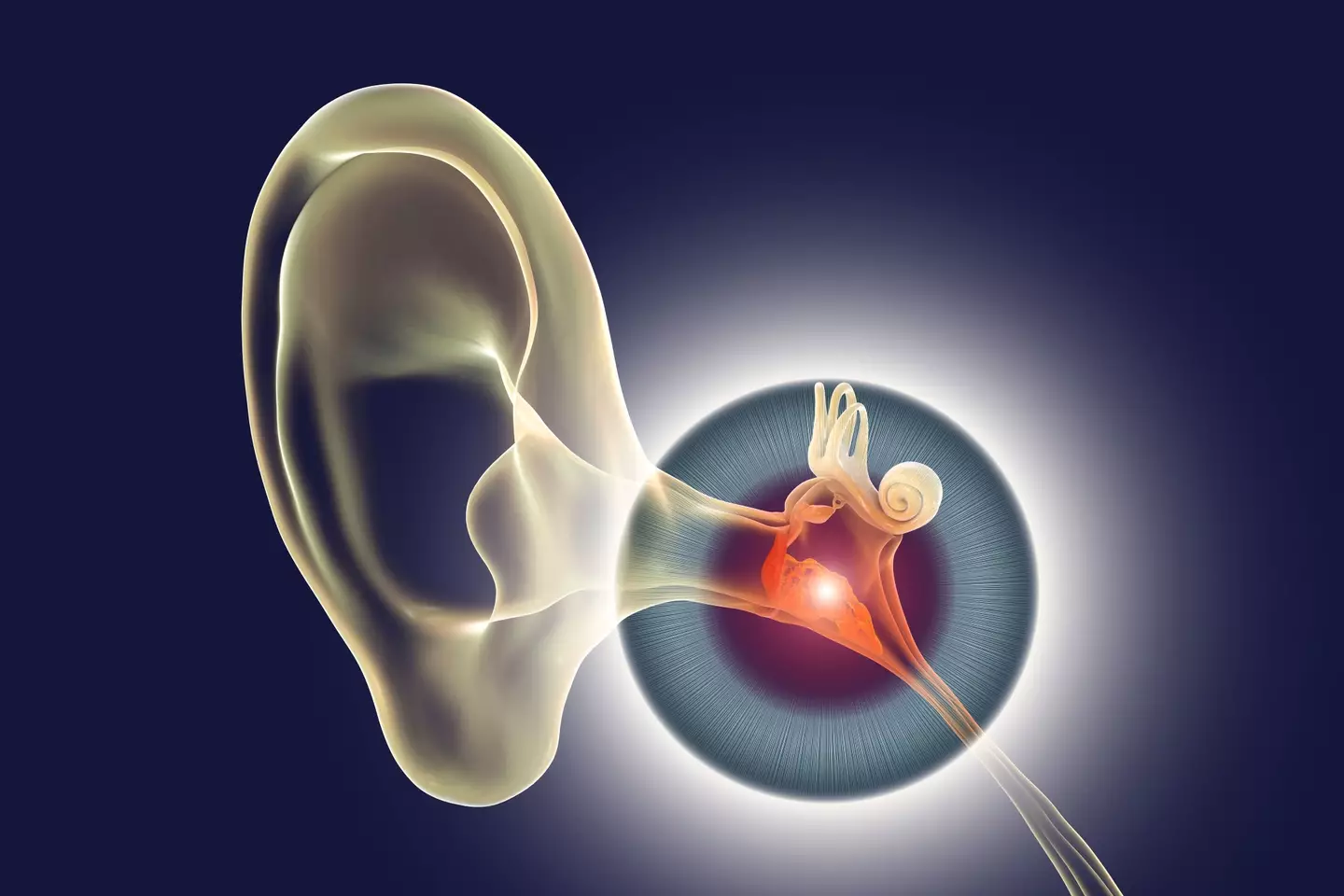 When you contract a muscle in your ear called the tensor tympani, it creates a low thunder-like sound (Getty Stock Image)