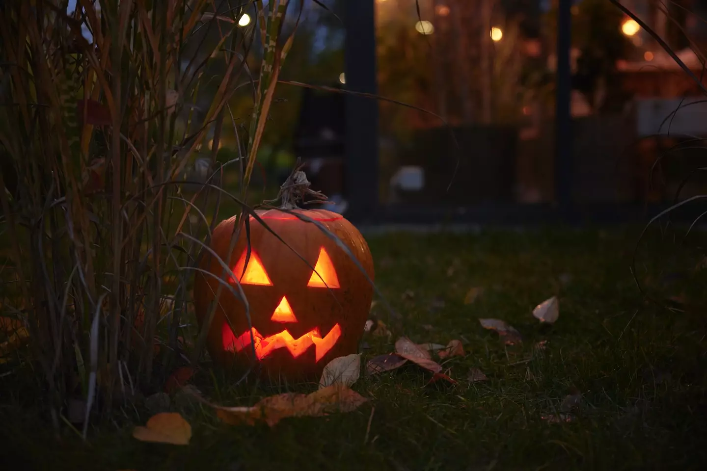 The expert says that changes experienced during the Halloween season can be 'long-lasting' (Johner Images / Getty Images)