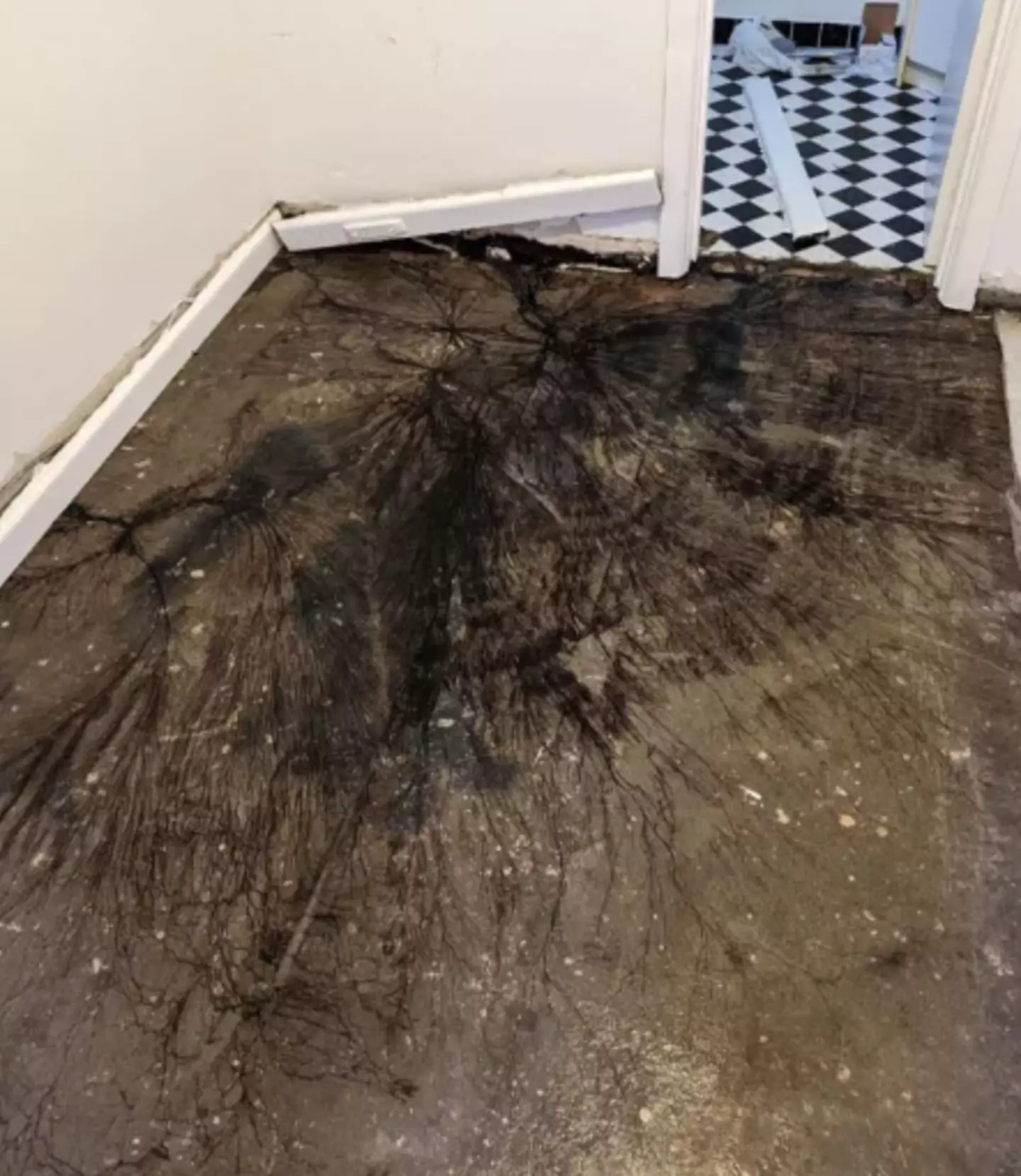 It looks HORRIFIC.