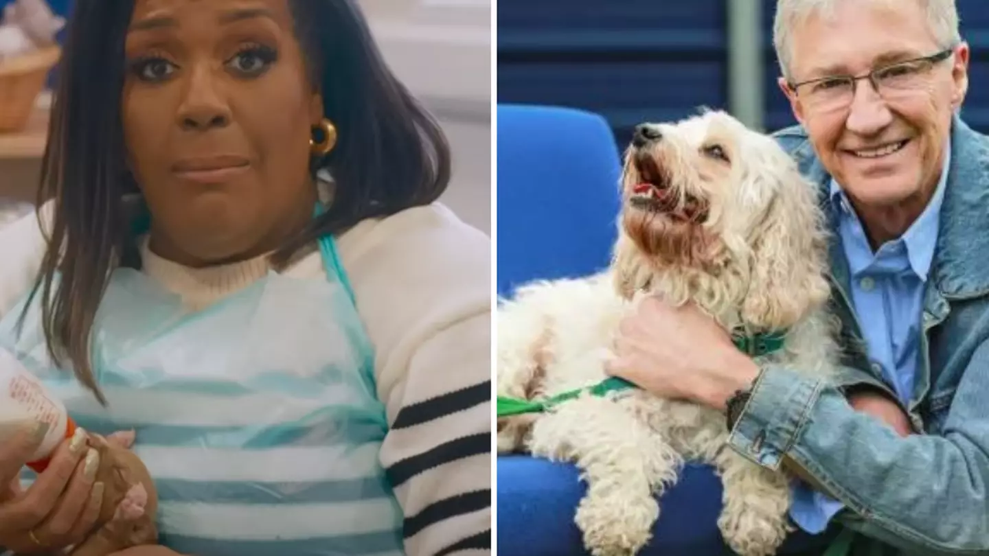 ITV viewers divided after Alison Hammond replaces Paul O'Grady presenting For The Love of Dogs