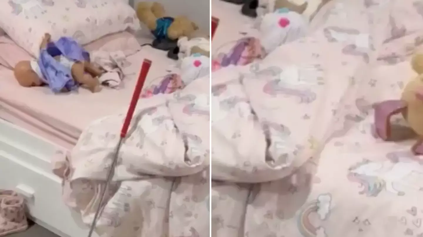Unnerving photo of incredibly dangerous animal in child’s bed is nearly ‘impossible to spot’