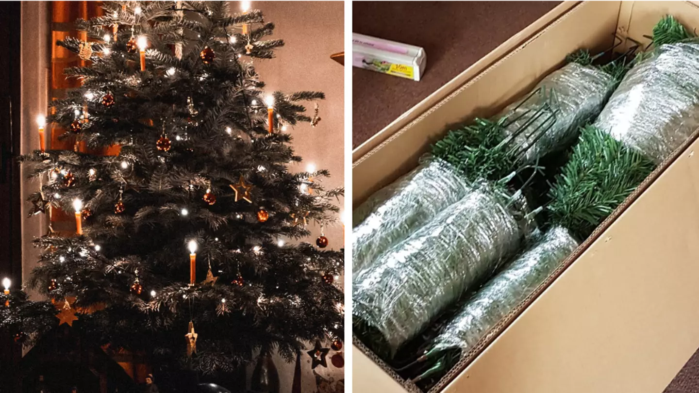 Woman shares simple trick for packing away Christmas trees