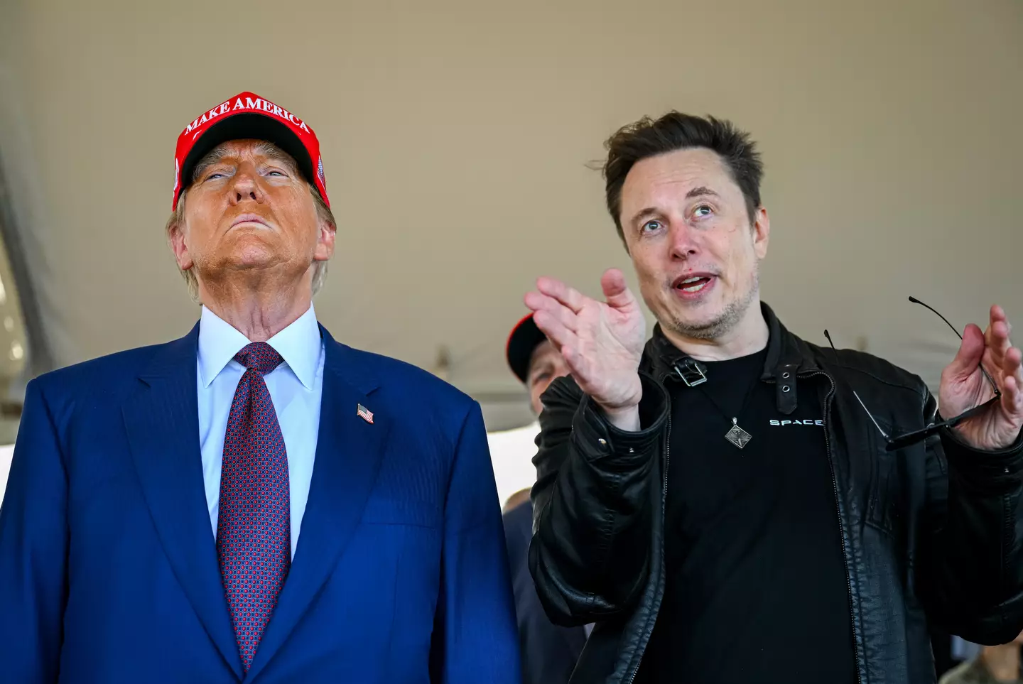 Elon Musk has worked closely with Donald Trump since he announced his plans to run for office (Brandon Bell/Getty Images)