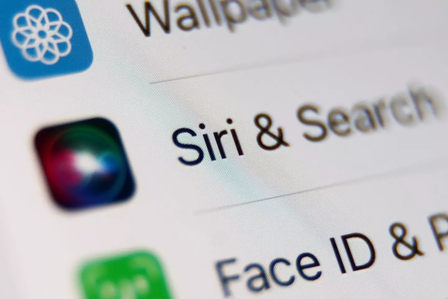 Siri was originally released with a female voice (NurPhoto / Contributor / Getty)