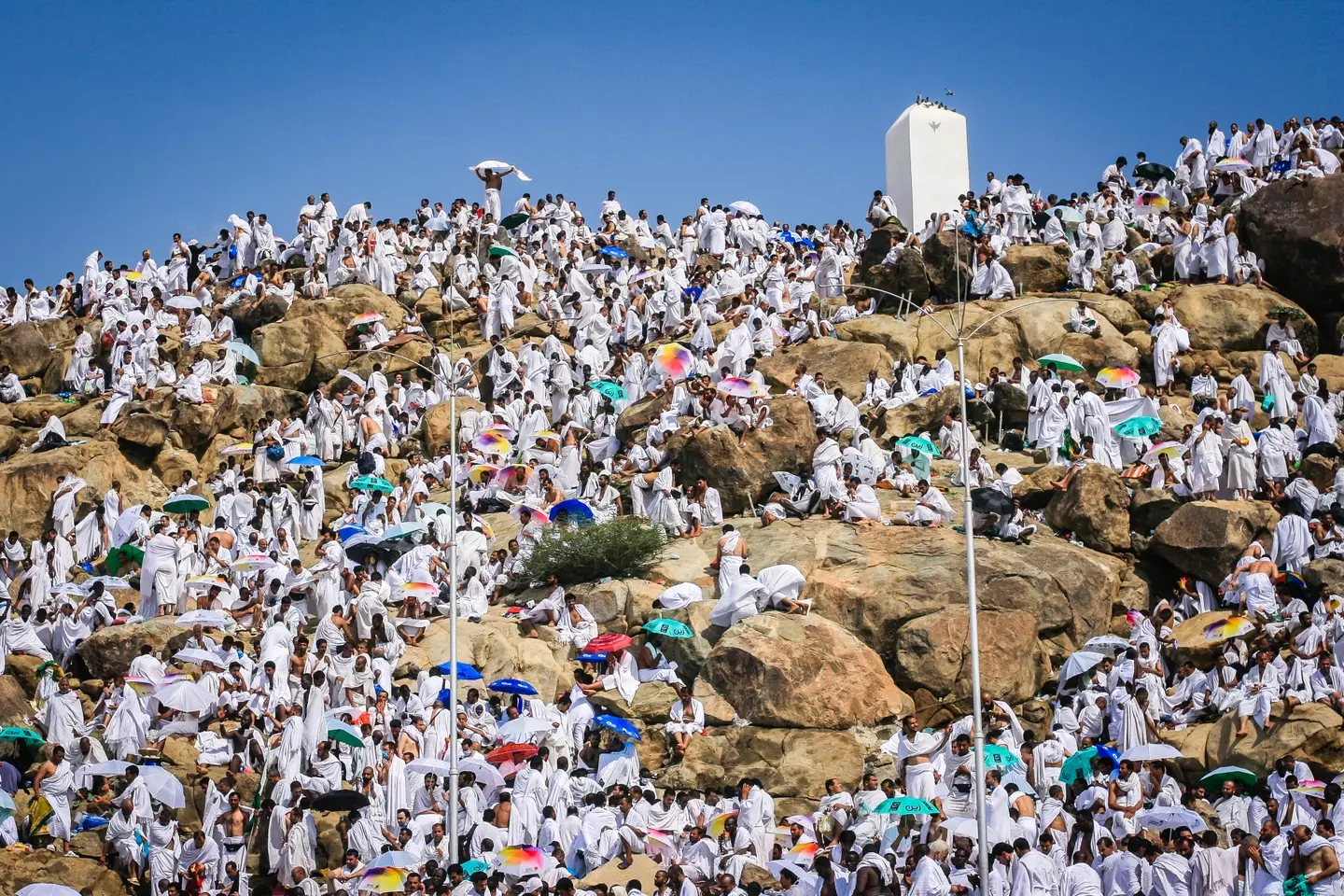 The disease has returned to the UK from Saudi Arabia. (Omar Chatriwala/Getty)
