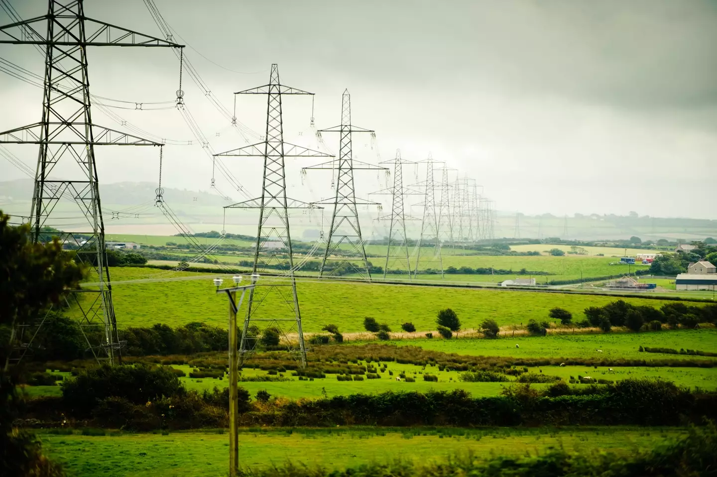 The plan could see households compensated to help National Grid avoid a blackout tomorrow evening.