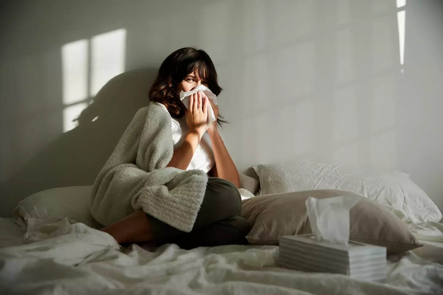 Sneezing and runny noses could be signs you're sleeping with dust mites.