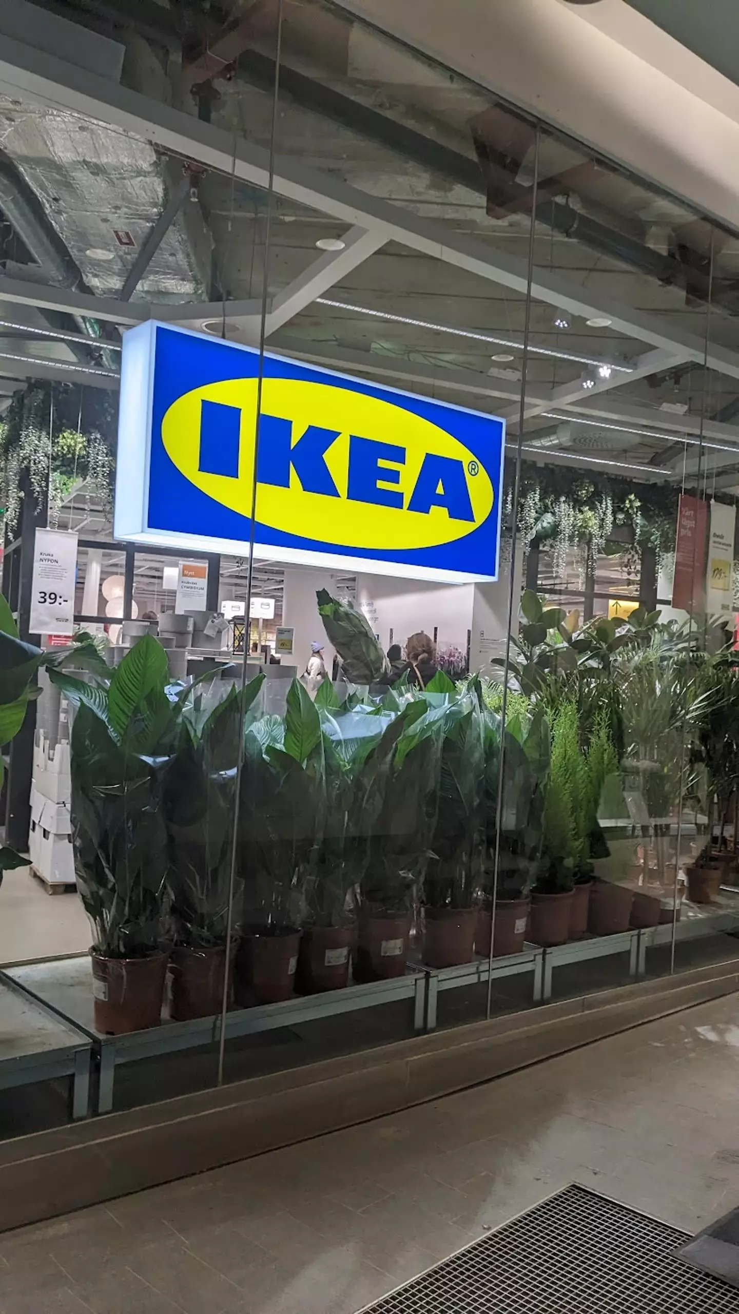 She even checked out a local IKEA.