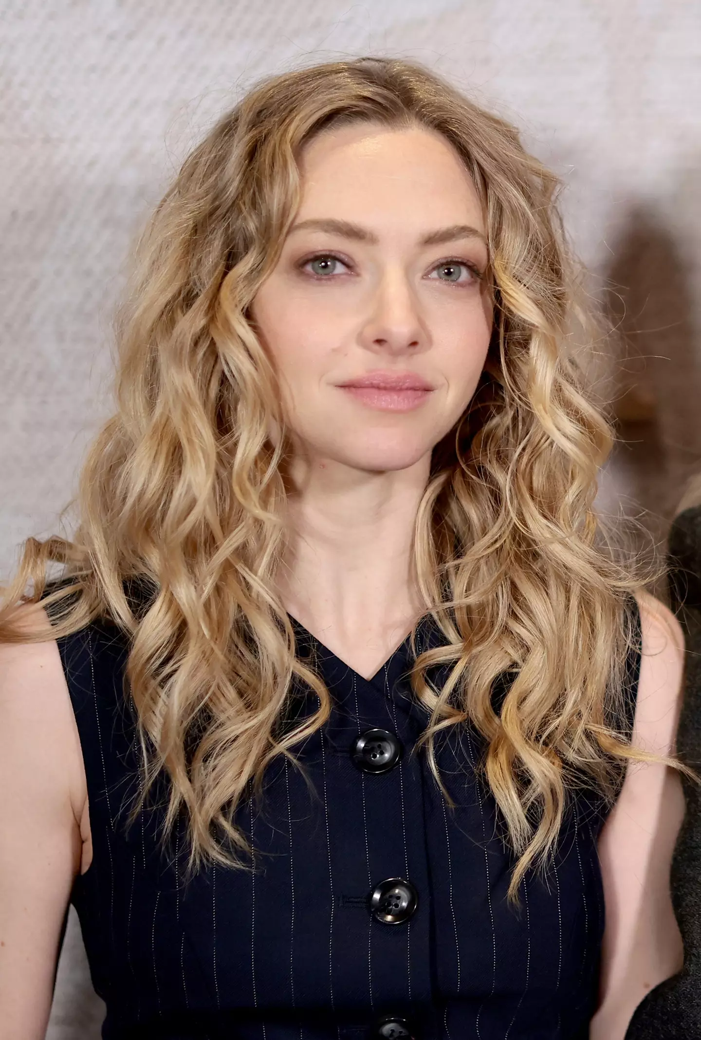 Seyfried stood by her comments (Dimitrios Kambouris/Getty Images)