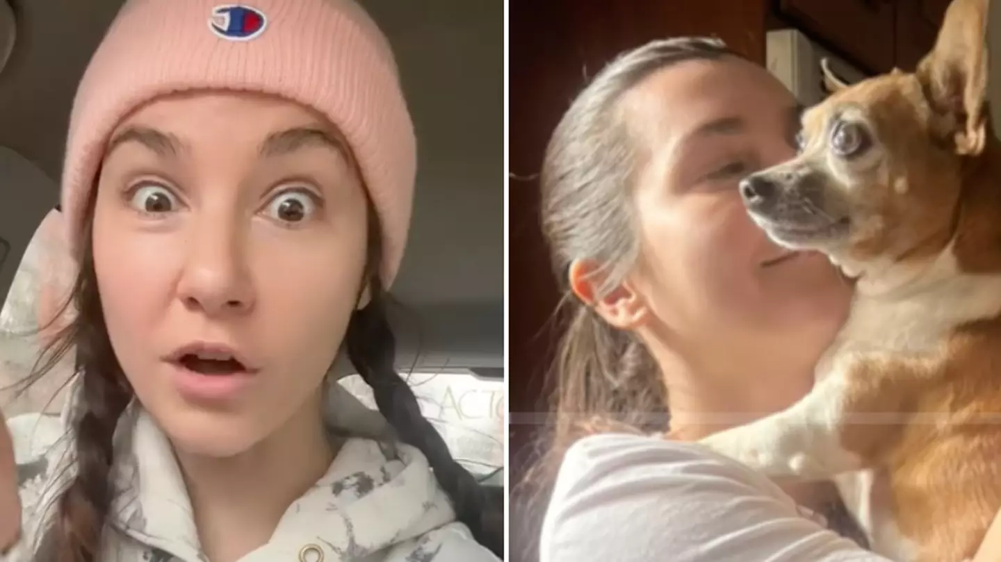 Pet owner issues urgent warning over sign which means your dog needs to go to the vet immediately