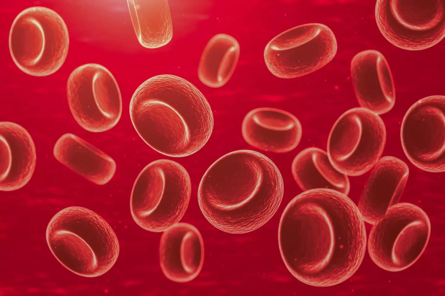 Iron is important in making red blood cells, which carry oxygen around the body (MR.Cole_Photographer / Getty Images)