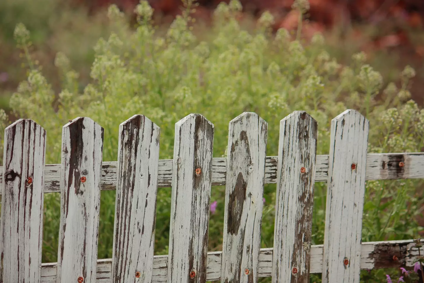 Some admitted that the fence looked like it could do with a stain.