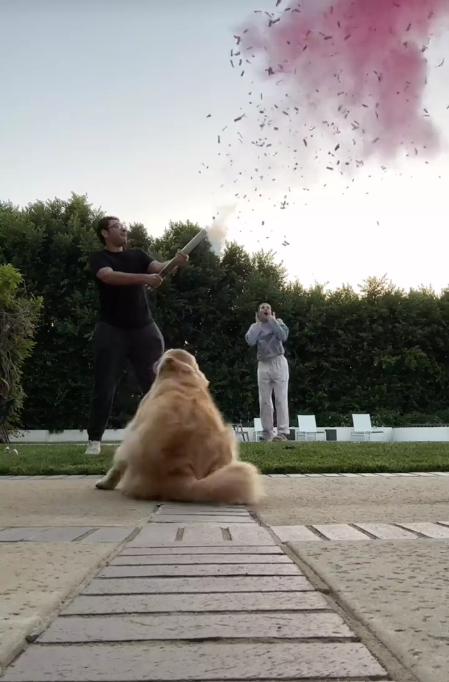 Richie posted the gender reveal on TikTok.