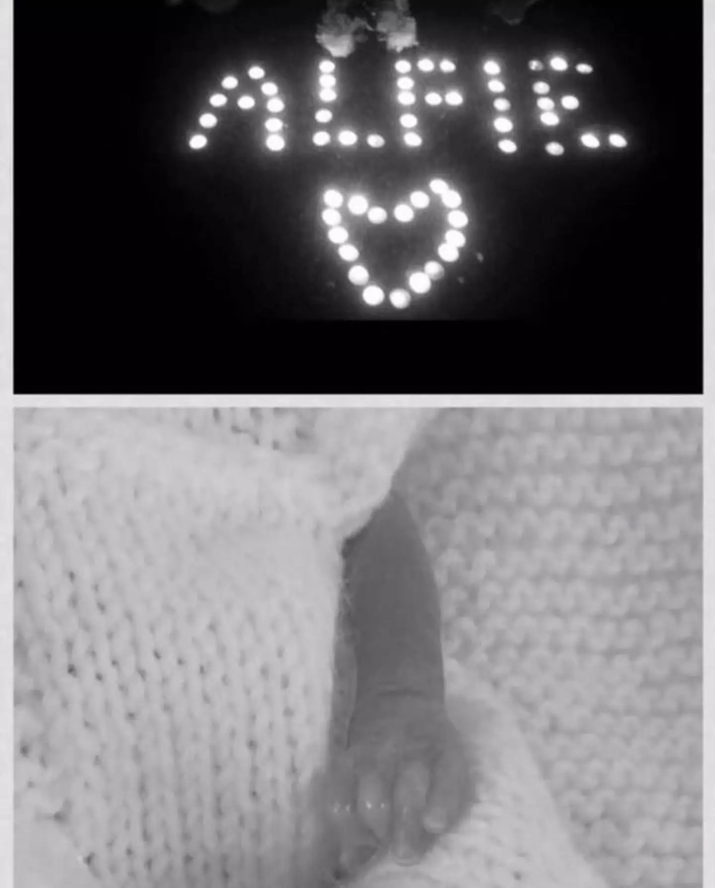 Fans jumped to the Radford family's defence after they were targeted by trolls.