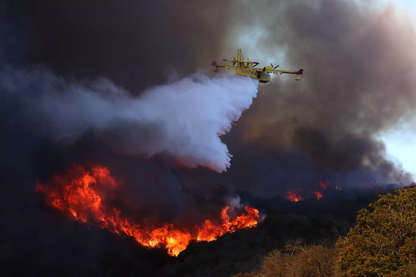 Five deaths have been confirmed so far (Brian van der Brug / Los Angeles Times via Getty Images)