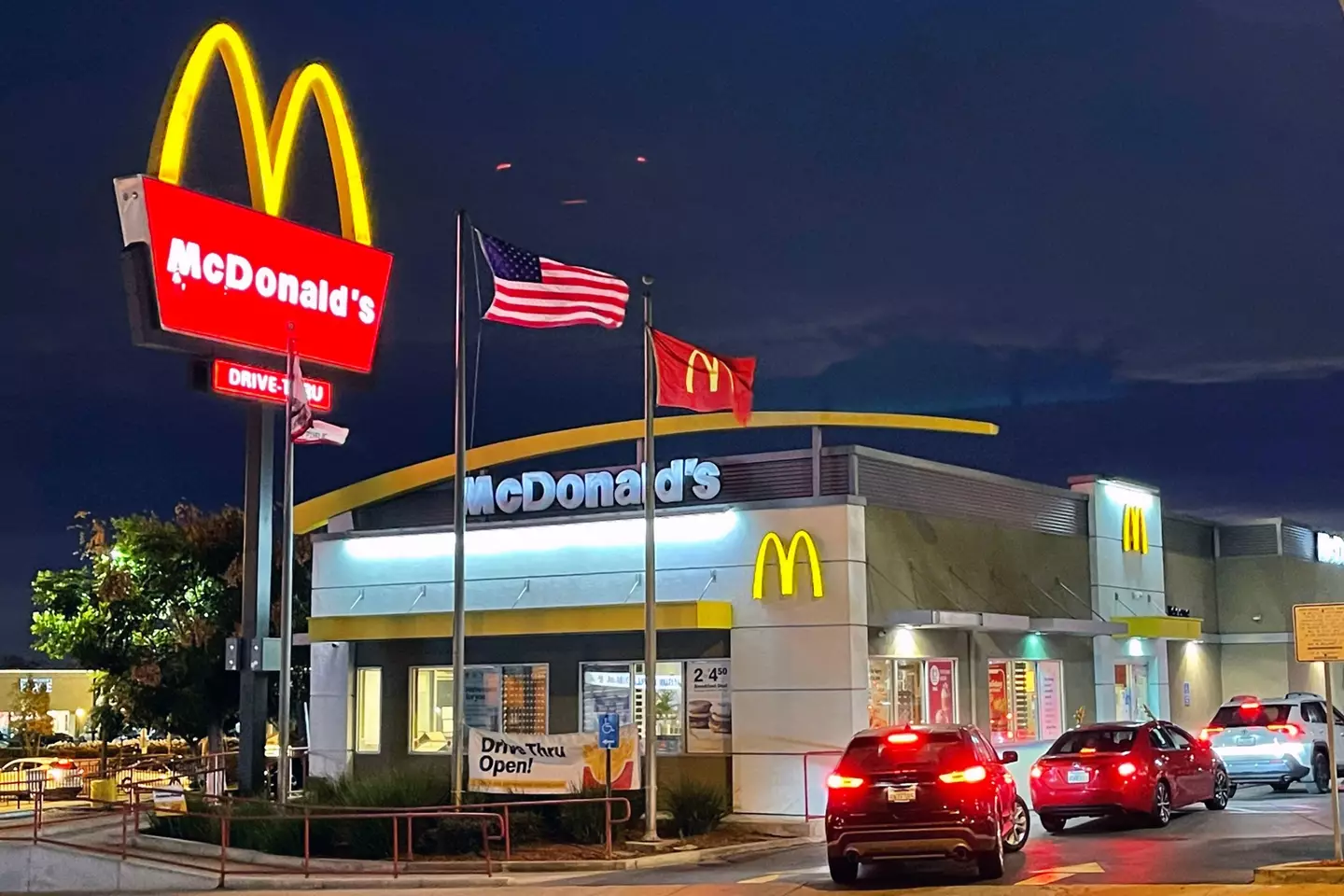 The children had fries and burgers.