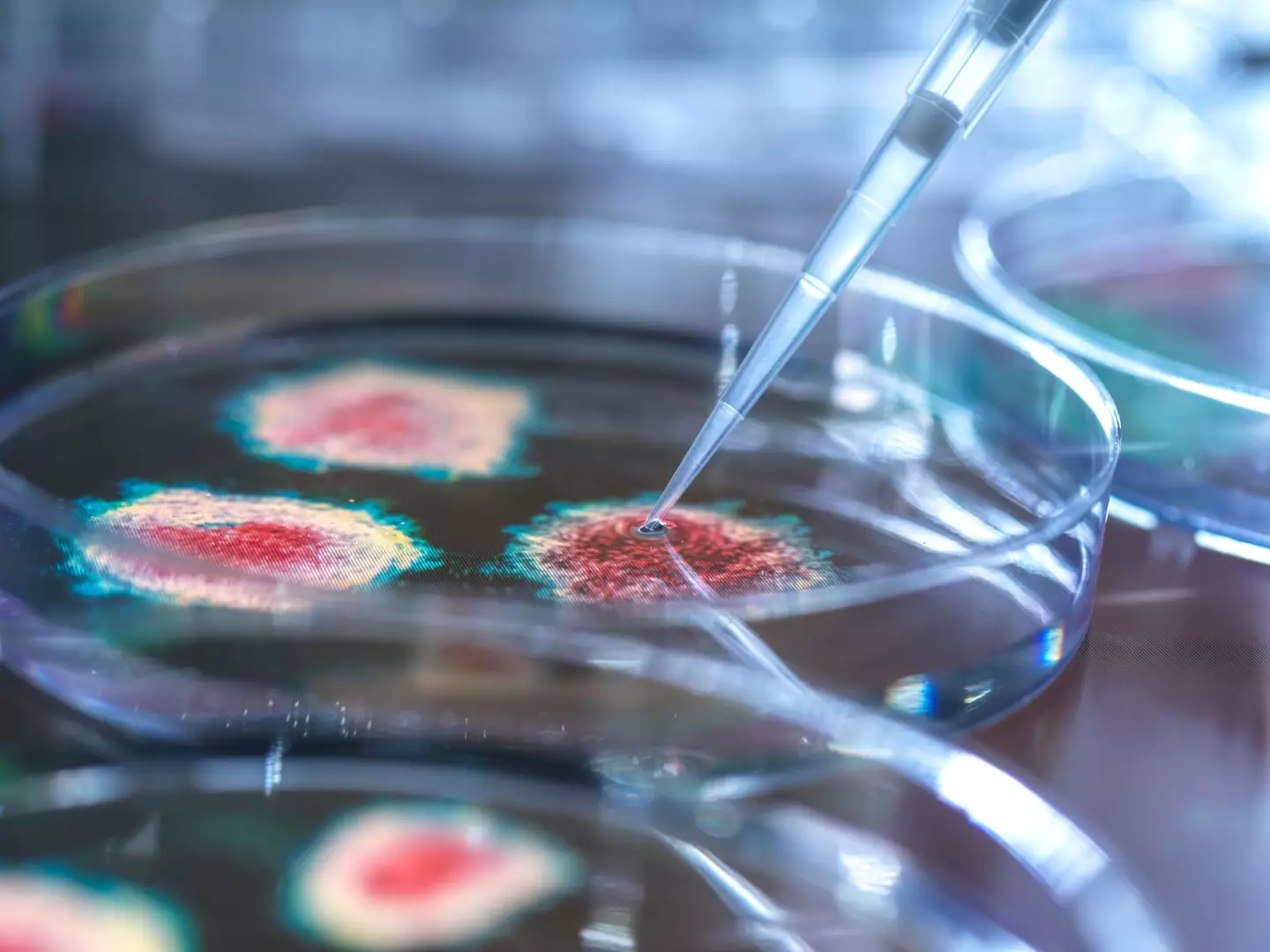 According to Salomé, another pandemic could be on the horizon. (Getty Stock Image)