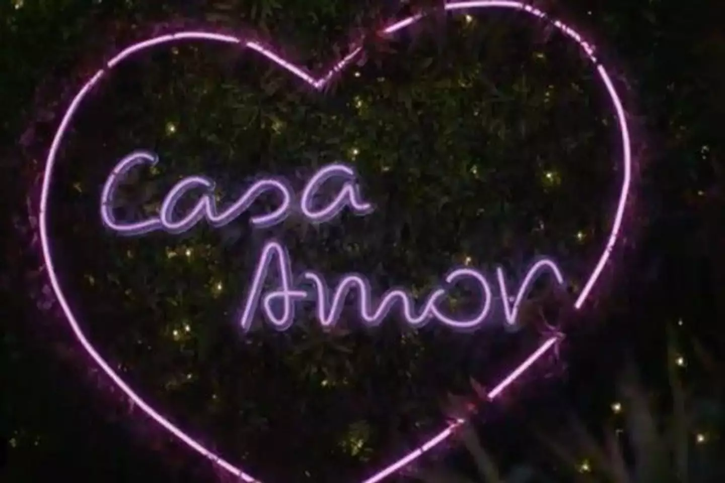 Reports indicate Casa Amor will be back soon.