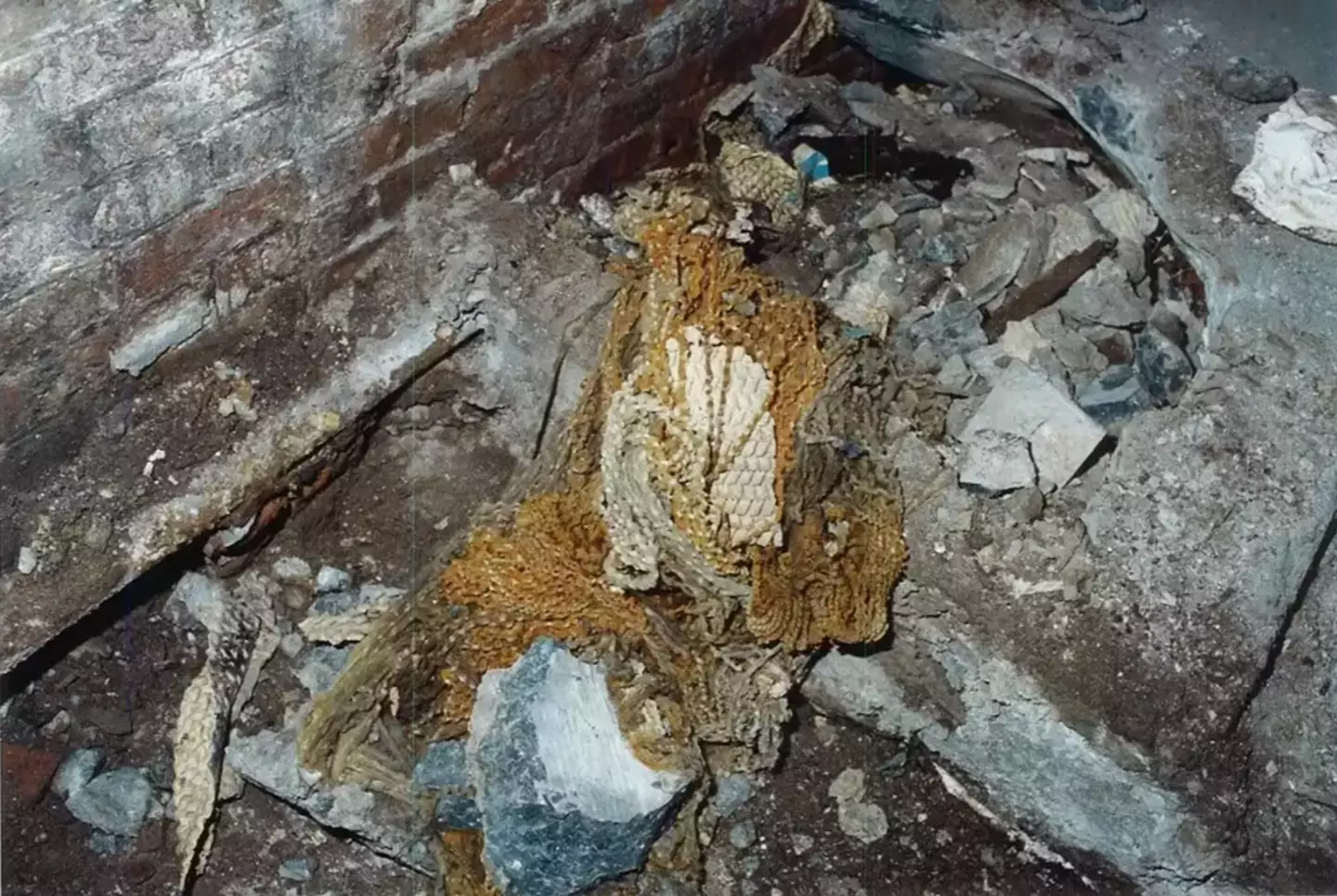 Patricia McGlone's remains were found encased in cement in 2003. (NYPD)