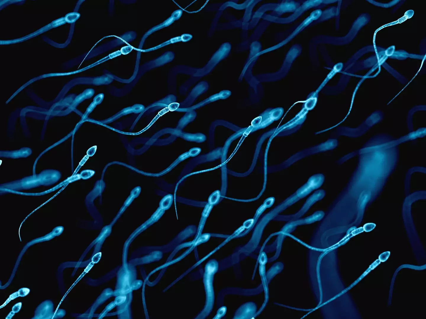 One scientific reason behind the phenomenon is that sperm don't always do as well in the heat (Getty Stock Image)