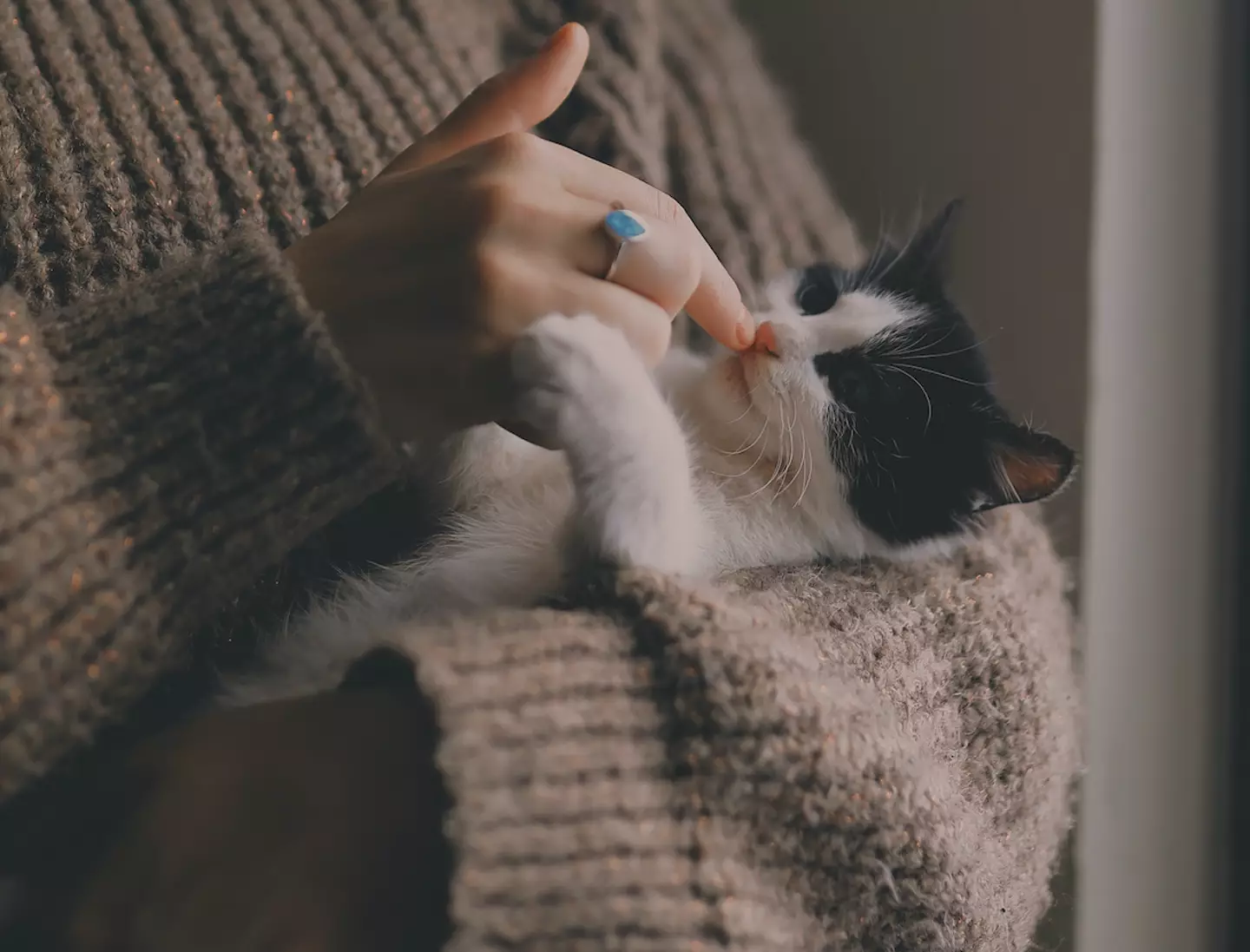 The woman initially thought the cat had got outside.