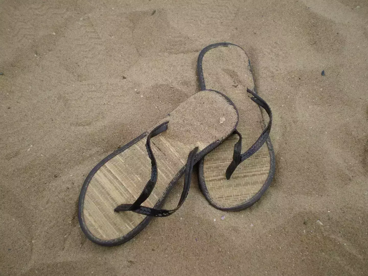 Guests were asked to wear shoes onboard and sit on towels. (straw/Pixabay)