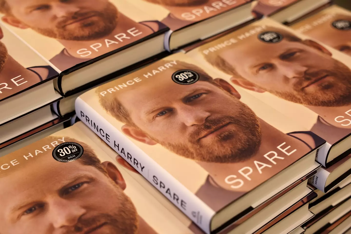 Prince Harry's book brutally condemned Camilla (Scott Olson/Getty Images)