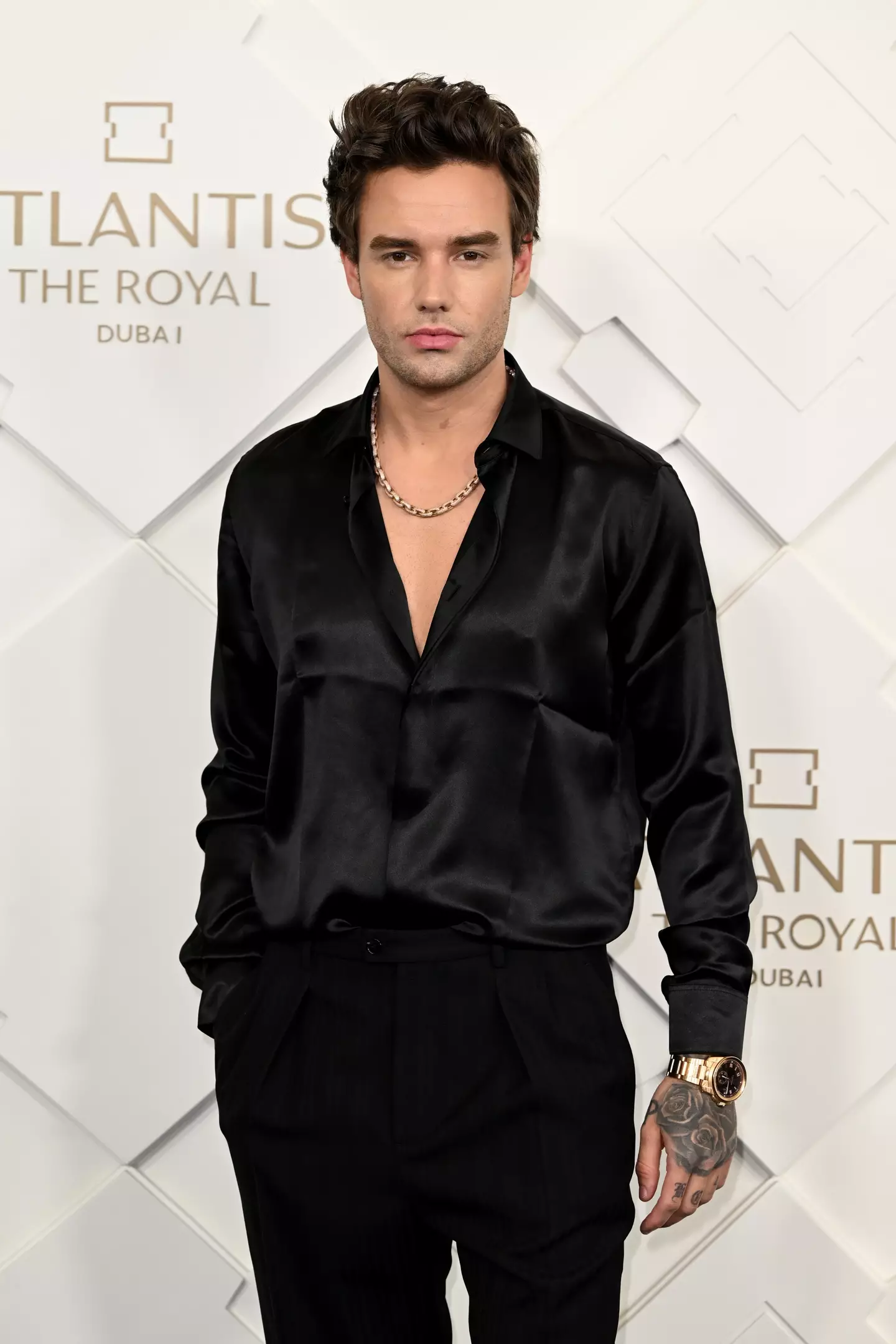 Payne rose to fame after appearing on the X Factor back in 2010 (Stuart C. Wilson/Getty Images)