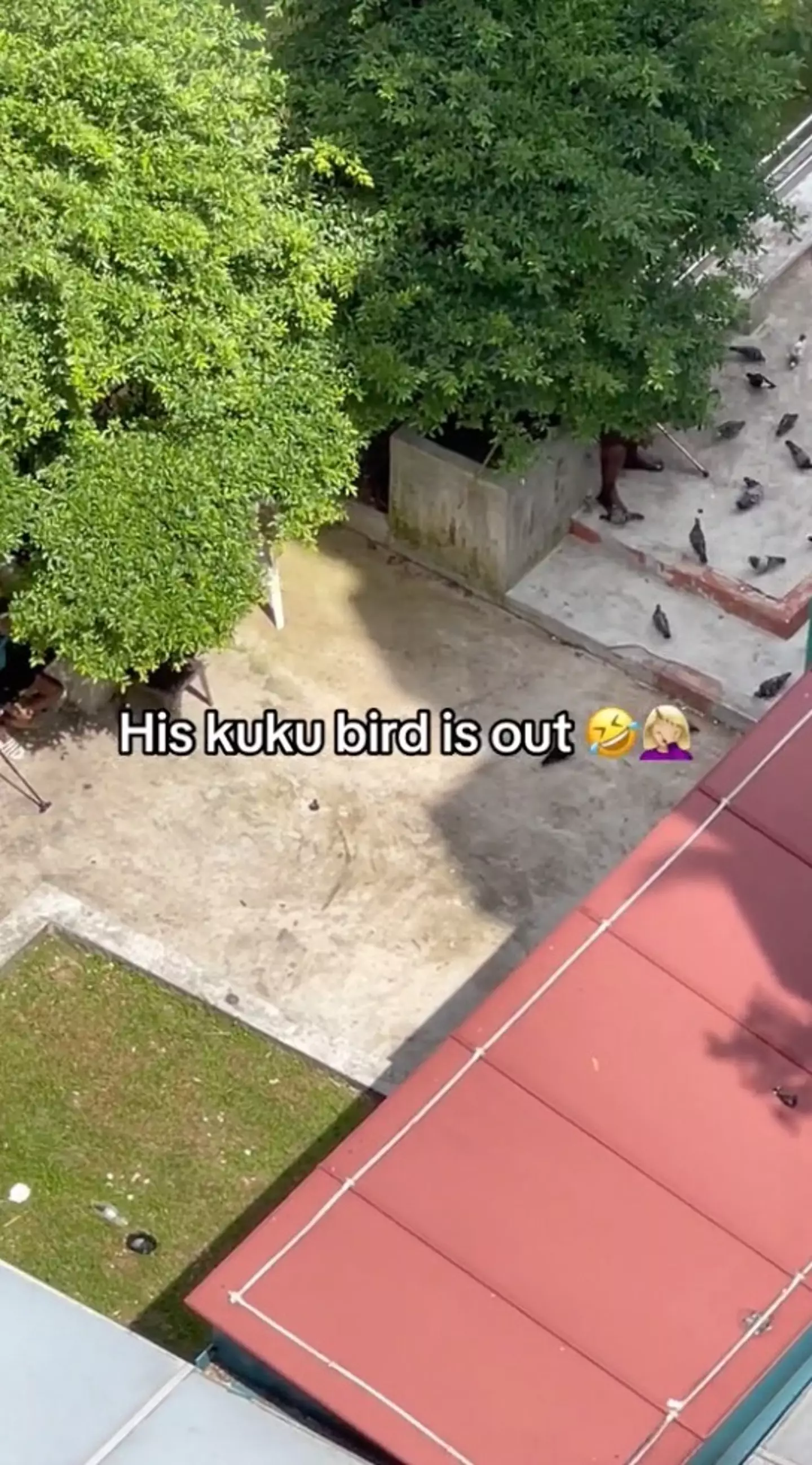 A Singapore mum was forced to call the police after her son spotted a man exposing himself to a flock of birds.