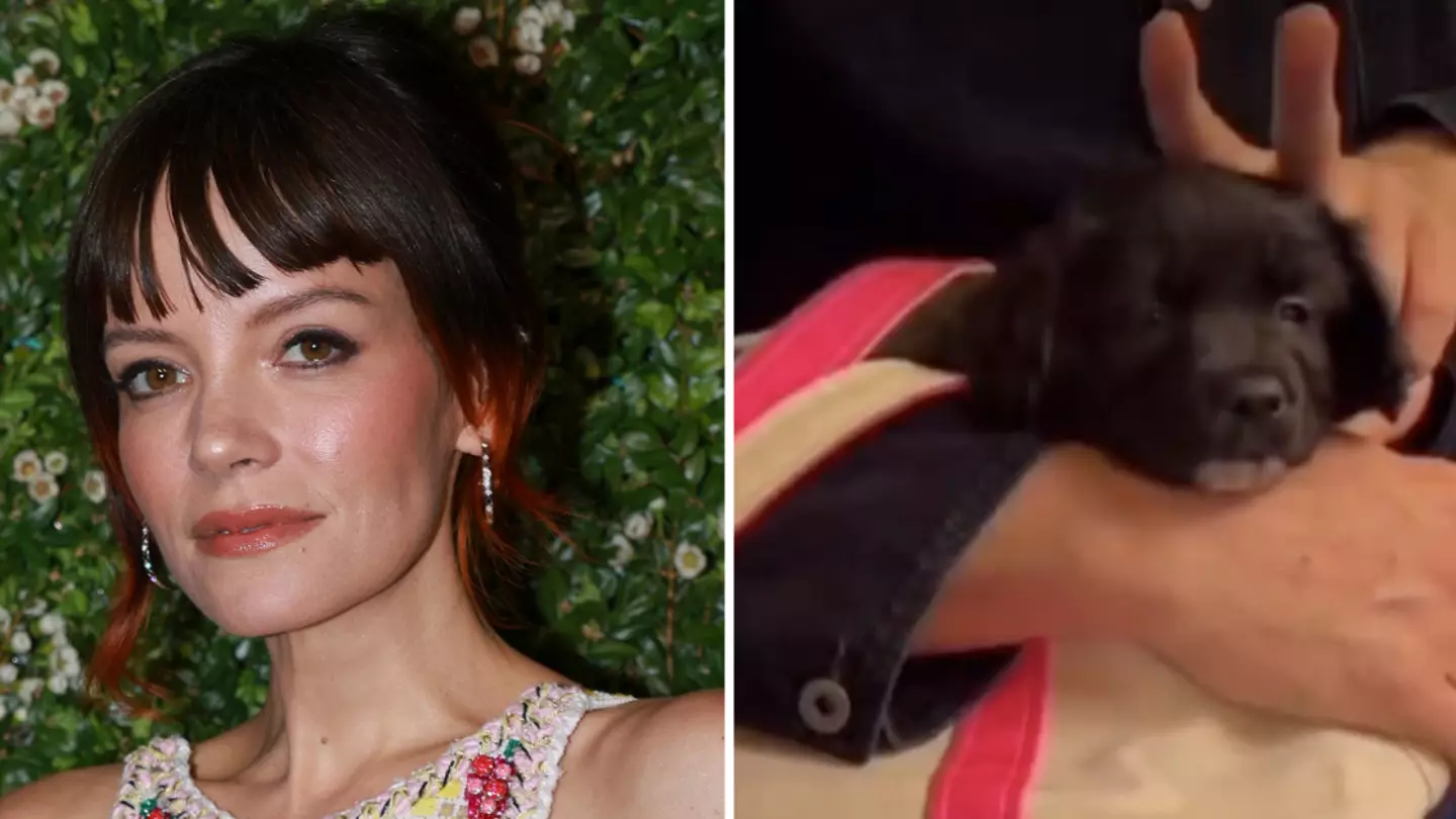 Lily Allen sparks outrage after revealing reason why she got rid of her dog