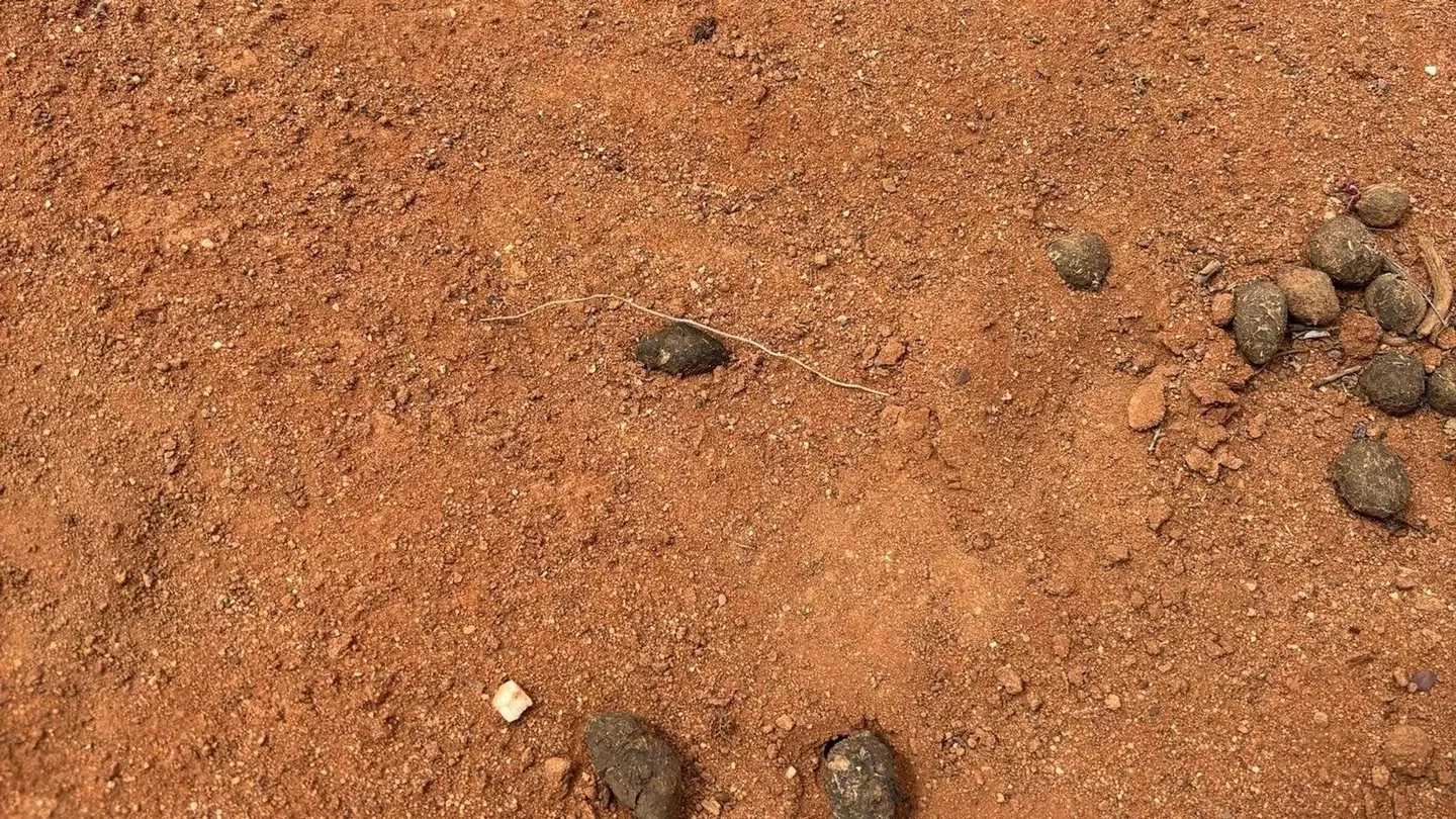 A single footprint is the only trace, believed to be similar to the boots Gus was wearing when he went missing (South Australian Police)