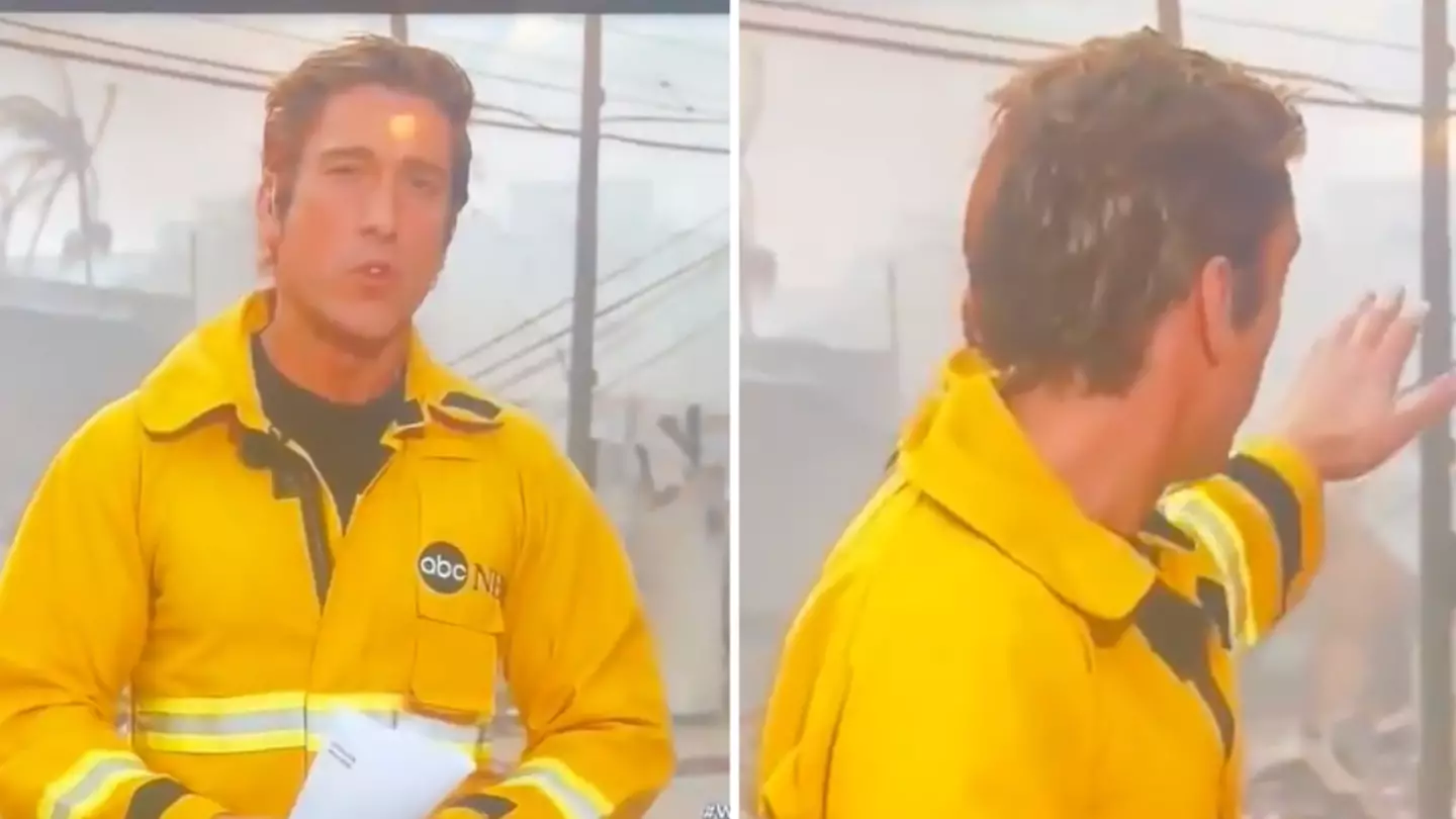 Viewers divided after spotting major edit to newsreader's appearance while reporting on devastating LA wildfires