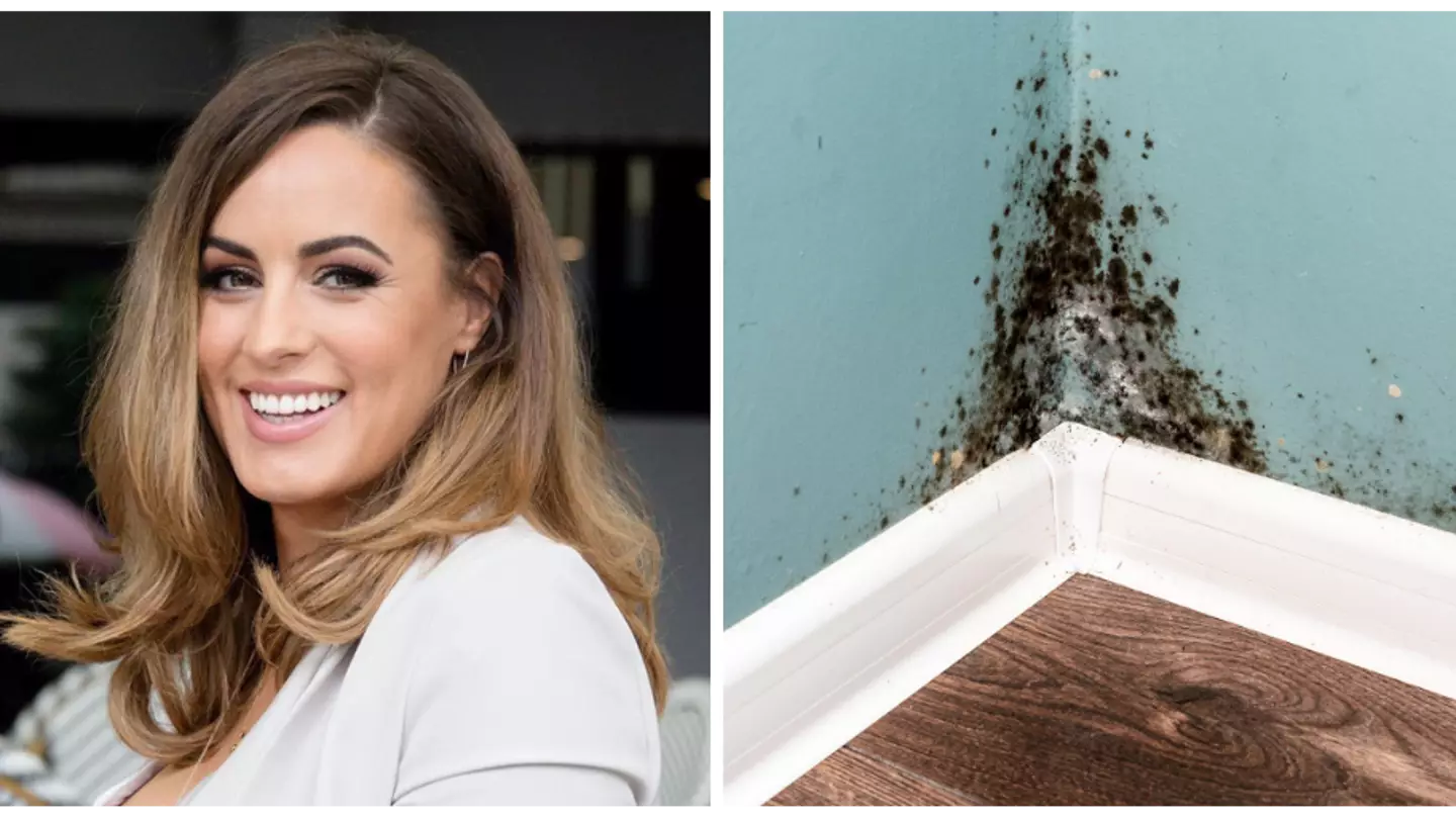 Young woman diagnosed with dementia after home infested with mould