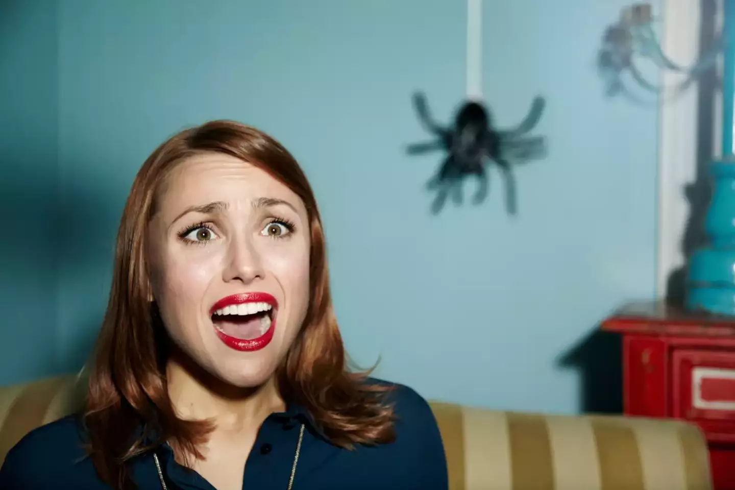 An expert has explained why you should never kill a spider in your house.